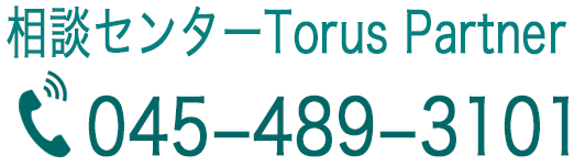 ヘアカットに特化したセット面一体型の専用ブース販売 Torus Partner Torus Partner